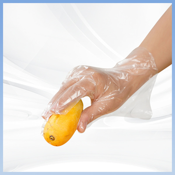 Biodegradable Sanitary Disposable Polyethylene Gloves Powder Free